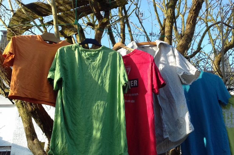 Fünf bunte Hemden im Herbst. Fünf kurzarmige T-Shirts und Hemden hängen an Holzkleiderbügeln in einem großen Strauch. Die Herbstsonne scheint von links hinein.